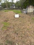 image of grave number 389471